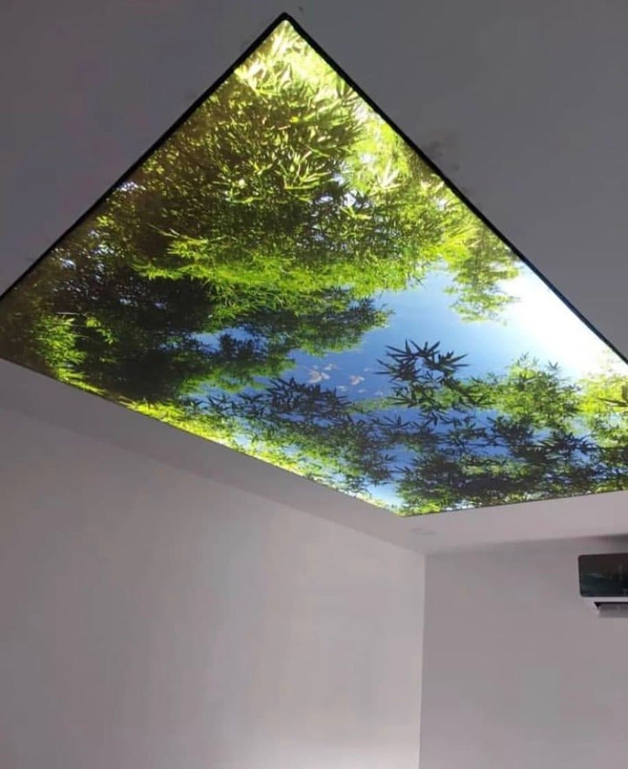 Printed green-leaf skylight panel in a white ceiling