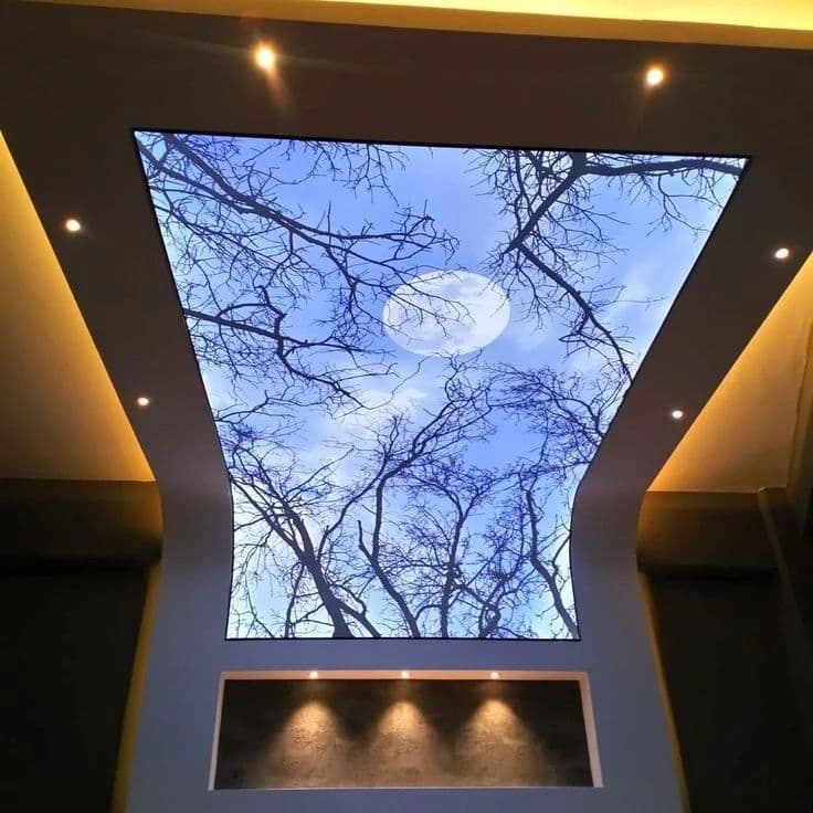 Recessed ceiling feature printed with branches against a night sky and moon