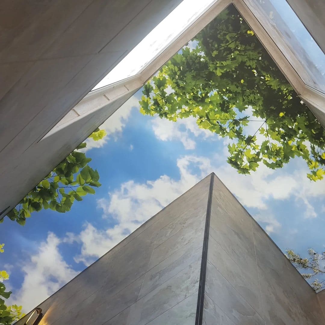 Printed ceiling showing trees and sky in upward perspective